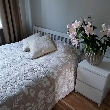Stylish Near To Citycenter And