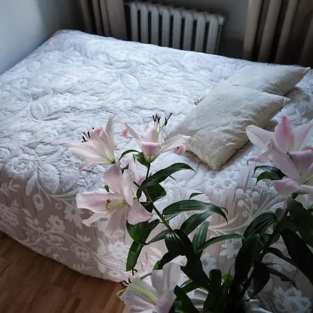 Stylish Near To Citycenter And Pärnu